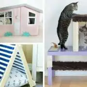 DIY Cat Furniture: Easy and Safe Projects for Your Furry Friend