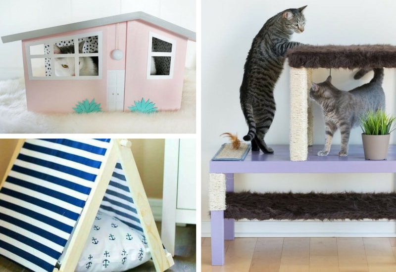 DIY Cat Furniture: Easy and Safe Projects for Your Furry Friend