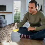 Organic and Grain-Free Cat Food: Is It Worth the Hype?