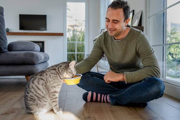 Organic and Grain-Free Cat Food: Is It Worth the Hype?