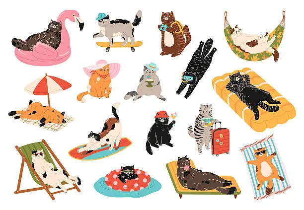 Multi-Functional Cat Furniture: Combining Play, Sleep, and Comfort