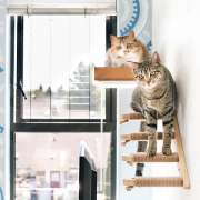 Top Cat Trees and Scratching Posts That Your Cat Will Love