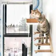 Top Cat Trees and Scratching Posts That Your Cat Will Love