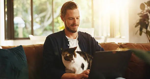 How to Maintain and Clean Cat Furniture for Longevity